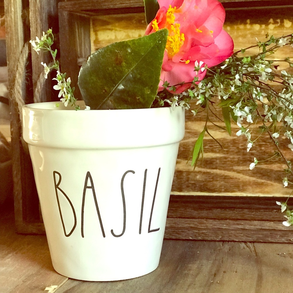 Rae Dunn LL small basil planter pot